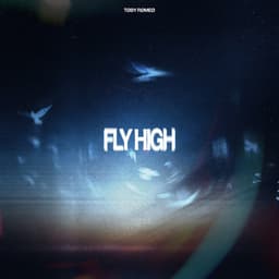 Fly High artwork
