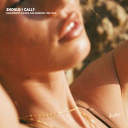 SHOULD I CALL? artwork