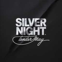 Silver Night artwork