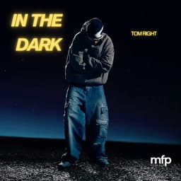 In The Dark artwork