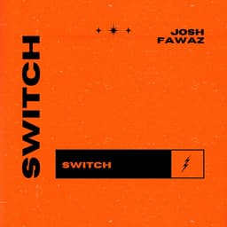 Switch artwork