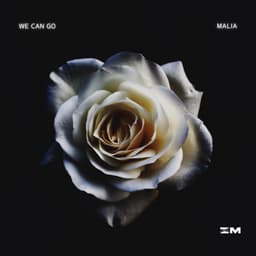 We Can Go artwork
