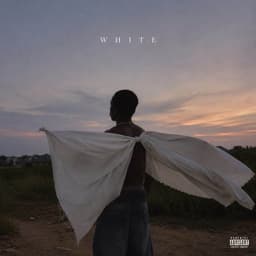 White artwork