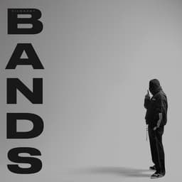 BANDS artwork