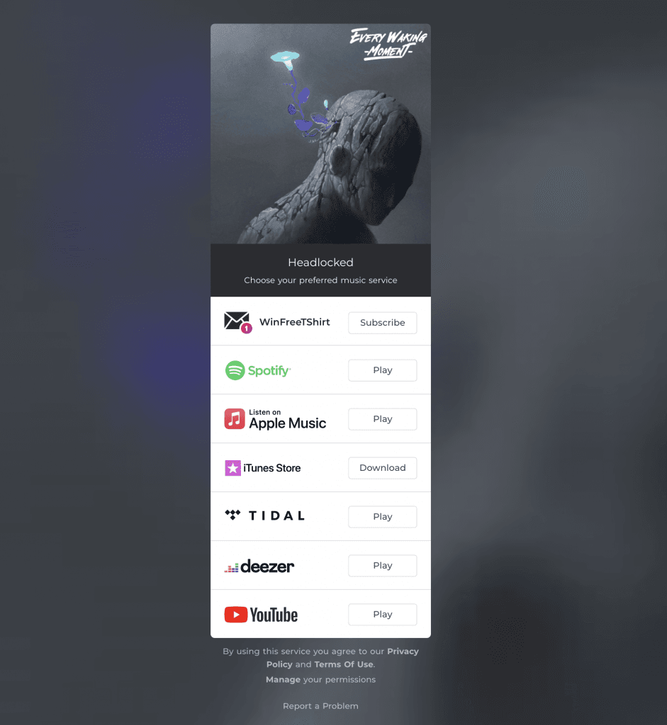 FeatureFM Music Marketing Landing Page