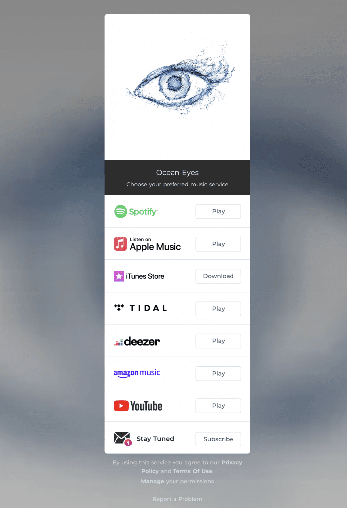 FeatureFM landing page for music marketing